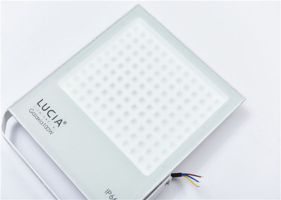 백색 100w 130lm/W 120 볼트는 옥외 홍수 빛을 지도했습니다