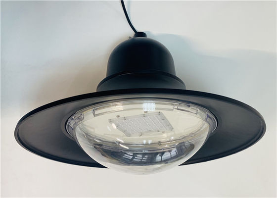 pendANT GARDEN LIGHT DIECAST 알루미늄 IP66 리트로피트 LED 모듈 30-80w 높은 조명 효율 야외